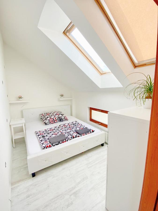 Loft With Rooftop And Free Parking In Garage 布达佩斯 外观 照片