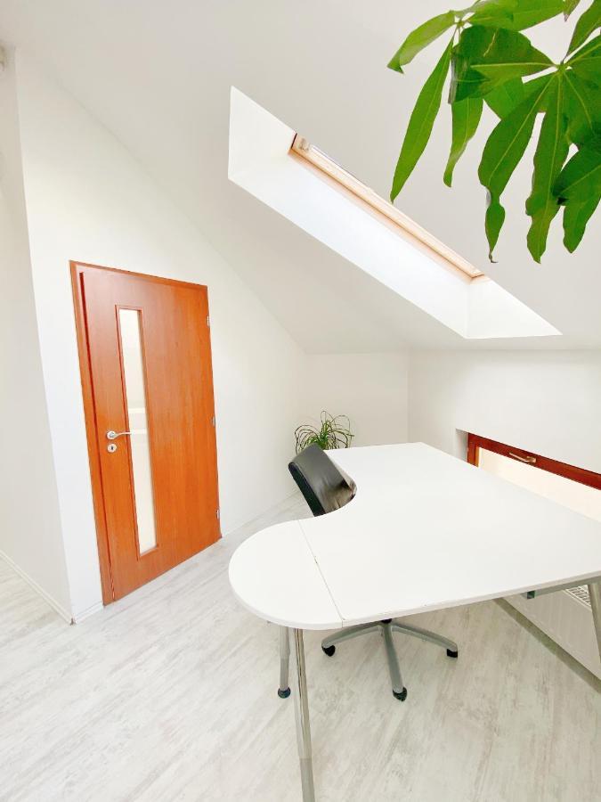 Loft With Rooftop And Free Parking In Garage 布达佩斯 外观 照片